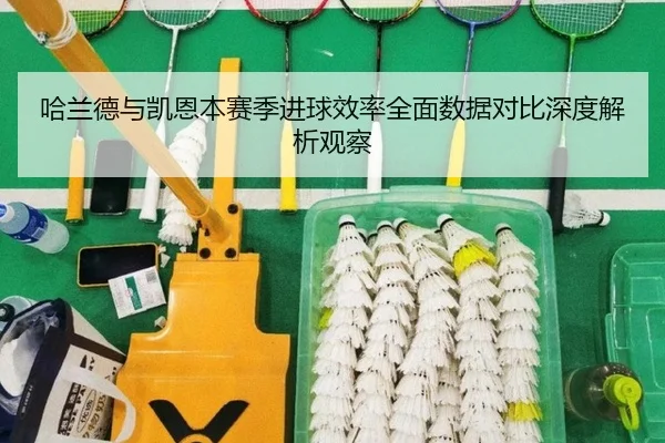 哈兰德与凯恩本赛季进球效率全面数据对比深度解析观察
